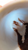 IMG_20260413_105932.thumb.png.c109538331ca258a8faca2f5307b9757.png