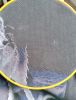 IMG_20260414_074503.thumb.jpg.bad4e5d79372947cdafa292976c1ad61.jpg