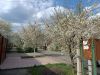 IMG_20260417_154728.thumb.jpg.5c2028795c98db17c03d5337e325b533.jpg