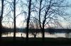 IMG_20260417_192310.thumb.jpg.f58baf1fcfbb5c3286f43148c239bddf.jpg