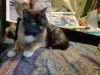 IMG_20260419_233203.thumb.jpg.71f0d31badb2d5fcb5677e6f45501763.jpg