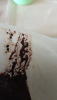 IMG_20260420_093237.thumb.png.ad4af0dfed5d818f3ca2873428aa382f.png