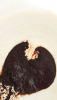IMG_20260420_093243.thumb.png.668737696fbc8129b0820fd028c4b923.png