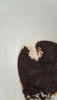 IMG_20260420_093247.thumb.png.c490d35a304faacfc960bf8305cecab3.png