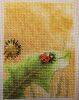 IMG_20260421_074541.thumb.jpg.2d2beca80426048bbe2d2e97b750d498.jpg