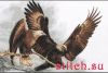 IMG_20260421_151724.thumb.jpg.3ef3bd7bef878e2a8fcdd075f76bdaaf.jpg