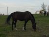 IMG_20260421_153748.thumb.jpg.31204ed7f17e65ce6f82609800840c54.jpg