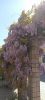IMG_20260423_151453.thumb.jpg.a04610c5f42b7b6692c17b40da18906c.jpg
