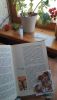 IMG_20260425_142145.thumb.jpg.1566cbaa971c293dfe1af62f5a6cb409.jpg
