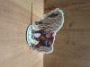 IMG_20260426_174856.jpg