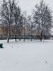 IMG_20260427_093751.jpg