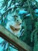 IMG_20260428_104452.thumb.jpg.a1e7d015005c26922b400dc801ba4739.jpg