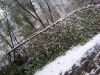 IMG_20260428_105053.thumb.jpg.d32c6ef9ad60f3cd29e9905401e98d6a.jpg