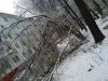 IMG_20260428_105142.thumb.jpg.2c34e5f965d95ba15f9acfe4ac5ee353.jpg