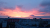 IMG_20260429_093117.thumb.png.503e6711a524629901790ddb35d79d95.png