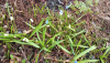 IMG_20260429_093124.thumb.png.7b9c30fee2f554a7c78a4cbab0995c75.png