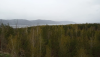 IMG_20260429_093141.thumb.png.b43e303a0f3bb6b16155ae33acae3fe1.png