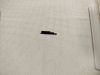 IMG_20260501_010821.thumb.jpg.a4cc94483422ba1568001d43968d31a2.jpg