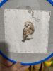IMG_2276.thumb.jpeg.e7673bfc748745d6d6c6e8cad119dda2.jpeg