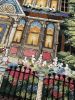 IMG_2969.jpeg