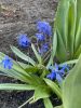 IMG_3835.thumb.jpeg.bee154c55e1bec0ed2016c0f5e19e417.jpeg