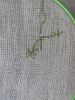 IMG_4285.jpeg