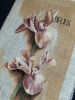IMG_5432.jpeg