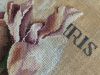 IMG_5433.jpeg