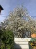 IMG_5437.thumb.jpeg.c8bb80cd06dfb7d3348d1e30a85e8c2a.jpeg