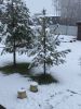 IMG_7030.jpeg