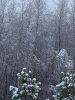 IMG_7034.thumb.jpeg.b5a2898c602c07fbf9c79d66a97b37cc.jpeg