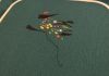 IMG_8590.jpeg