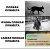 QqQKrQdxzw2FXNHVy5MyaIM5w-K5rsqikXTRNz9pJs2nrxaaj9jetO5rFpsJG6UmYoOzMopsx-HaofaUNrSyBa6Y.thumb.jpg.abfa30c2696df959707a9908e7f8776b.jpg