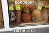 fotozxcv.thumb.jpg.e9405b71d60a5e693c5b4a9b3df5db02.jpg