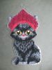 kitty1.thumb.jpg.517908fec98cb990428781035168cc1a.jpg
