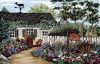 Dimensions 3152, Cottage Herbs