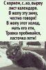 waQPFOKVwv5tqM-4-w1Ivxq9sLadVkSYdWA-XvBiGij9A0KNyEIFCfQqmrGsOs0ykTPERK9mZv8xyId2rwE72uwE.thumb.jpg.37e466dda334f3e19cff6f6687f1edf1.jpg
