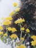 10.thumb.jpg.2bea711c49cd6027bd4628a948769dc8.jpg