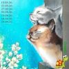 138068950_12..thumb.jpeg.5a2befd9a8e09c3c97986689f4989793.jpeg