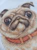 2.thumb.jpg.8d8d8c85ef55de8dea75195165635fd7.jpg