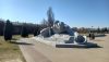 20260322_114731.thumb.jpg.797e2850c7041d0330cf9f861957ed75.jpg