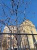 20260409_131223.thumb.jpg.b57b8dacc2cc2bcbddf58991a6703e6a.jpg
