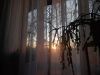 20260411_194720.thumb.jpg.5f6037203ed1c548348b06fc24d8a6d8.jpg