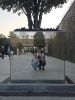 20260417_190910.thumb.jpg.d204fd13f803ac3cee7f8b1c08e218ac.jpg