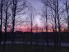 20260419_203542.thumb.jpg.e0c48b5b62b4b40fb8f02080ad38329f.jpg