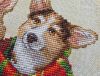 20260430_110425.thumb.jpg.5788e8ffd8cb0ad2200ff30a0971d6a1.jpg