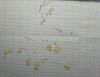 20260501_103531.thumb.jpg.22acc9acc5dfd3713480d7db7b5a33cd.jpg