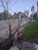 20260502_194606.thumb.jpg.b58cb5f3ab4207f3e7595b24d6fa8aef.jpg