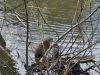 20260503_083510.thumb.jpg.33289fd34d1884af1865d89680b0b2bf.jpg
