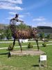 20260503_113758.thumb.jpg.a0cb00426658975ff5690634baa170ac.jpg
